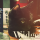 Illustration for article titled Indisputable Proof Cats are Superior